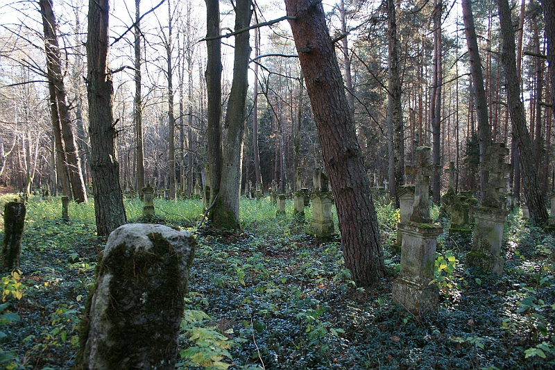 Rostoczek 11.2008 382